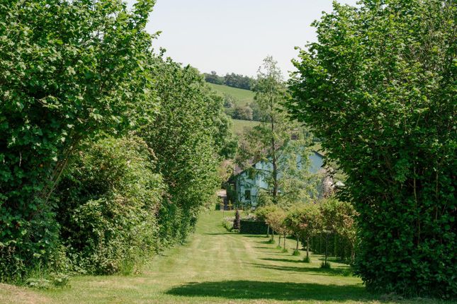 Pant Hall, Willey, Presteigne photo 3