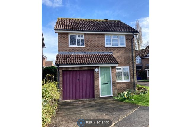 Detached house to rent in Circus Field Road, Glastonbury BA6