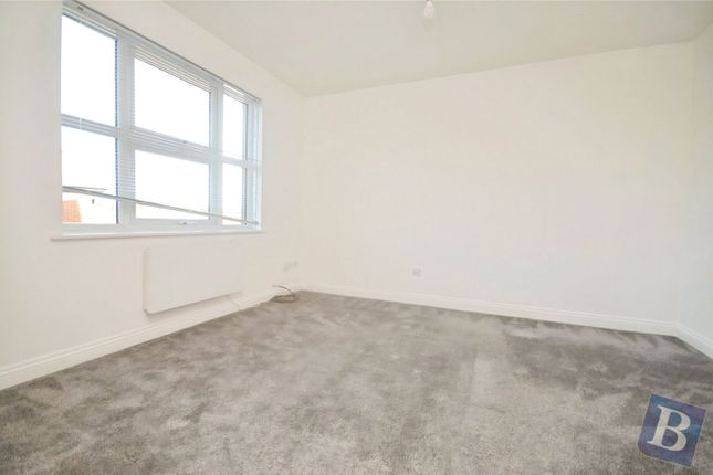 Haltwhistle Road, Chelmsford photo 2