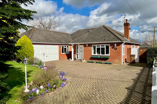 Thumbnail Detached bungalow for sale in The Ridge, Little Baddow, Chelmsford