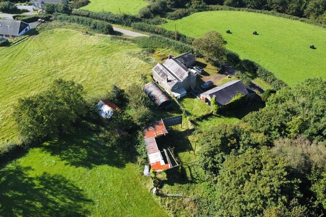 Parcnwc, Carmarthen photo 4