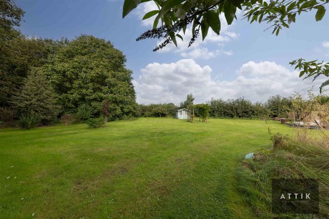 Detached bungalow for sale in Mill Lane, Rockland All Saints, Attleborough