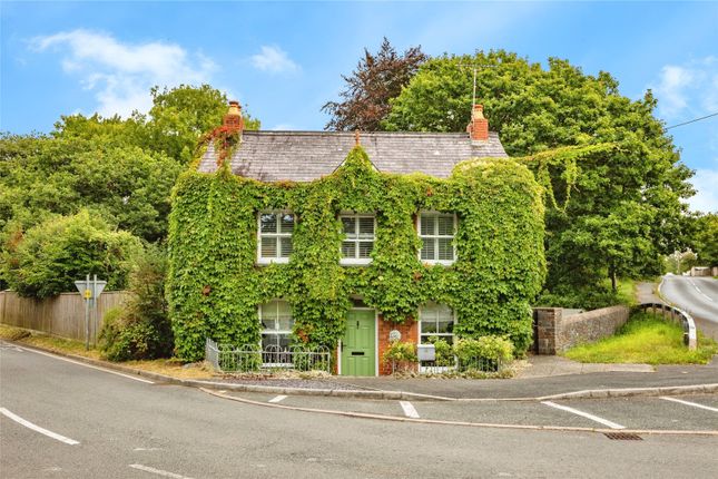 Manarafon,, Cardigan, Ceredigion photo 2