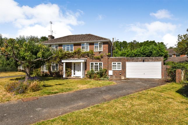 Thumbnail Detached house to rent in Paddock Fields, Old Basing, Basingstoke, Hampshire
