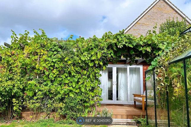 Studio flat on Melrose Road, Southampton, £1,250/mo