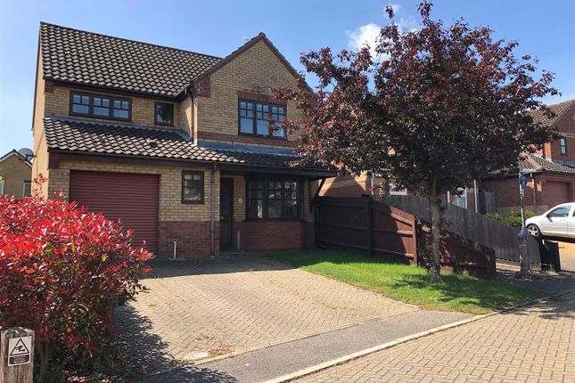 Thumbnail Detached house to rent in Wimpole Close, Rushmere St. Andrew, Ipswich