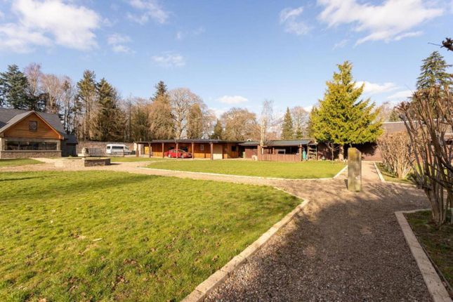 Ava House, Coupar Angus Road, Perth and Kinross photo 3
