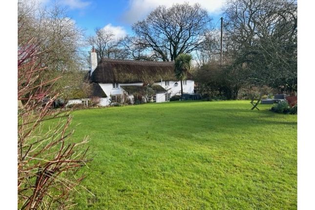 Thumbnail Detached house for sale in Westwood, Exeter
