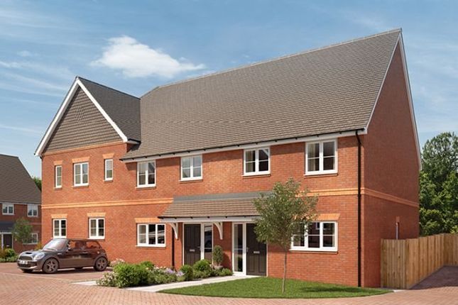 Exterior Plot 79