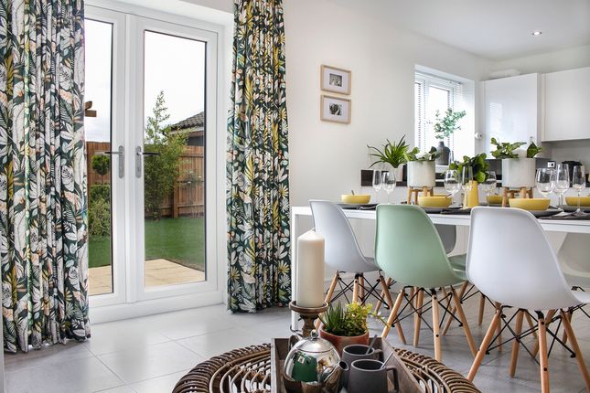 Mylne_Vyo-Ferr-20-0065