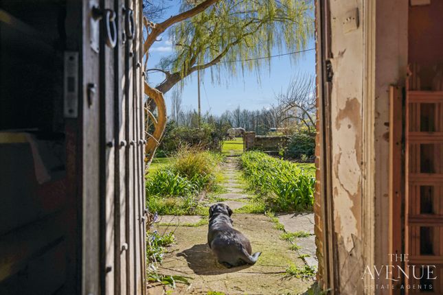 Lower Berrick Farm, Berrick Salome, Oxfordshire photo 3