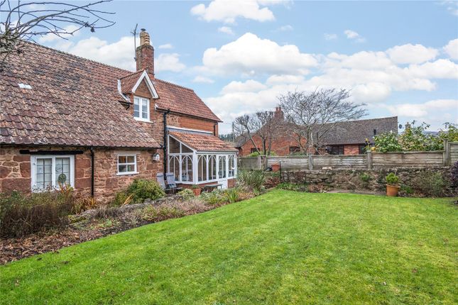 Lavender Cottage,, Sampford Brett, Taunton photo 3