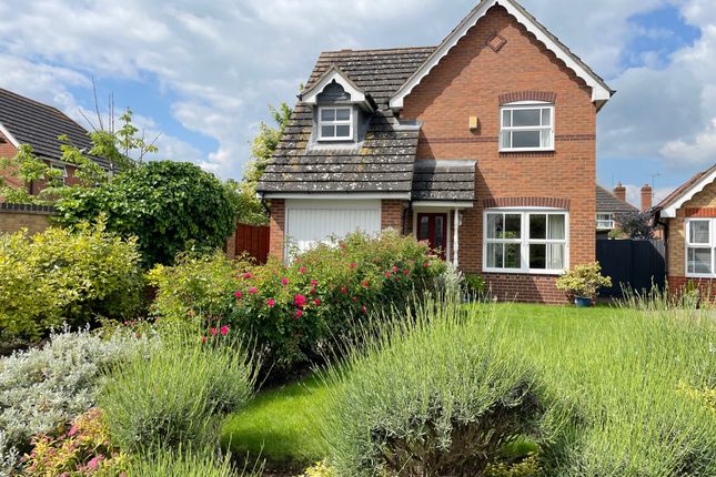 Thumbnail Detached house for sale in Willow Holt, Peterborough