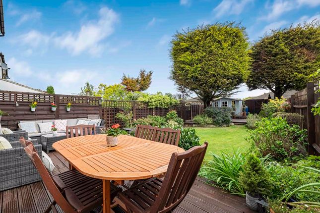 Rear Garden Shot 3
