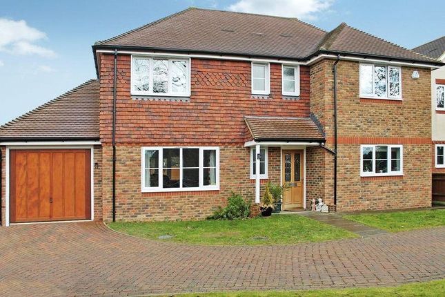 Detached house to rent in Manor Oaks, Burgess Hill, West Sussex