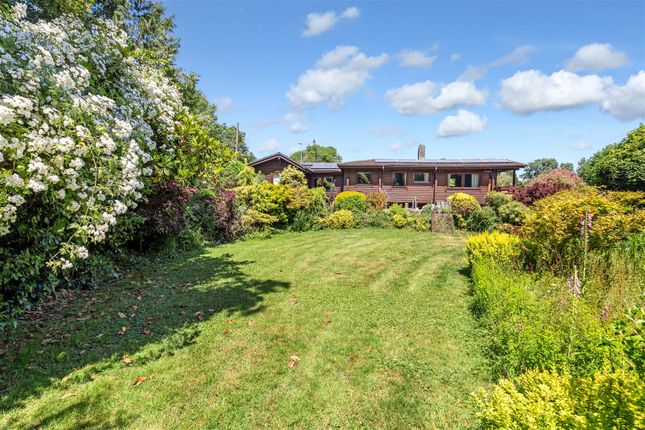 Detached bungalow for sale in North Road, Hertford