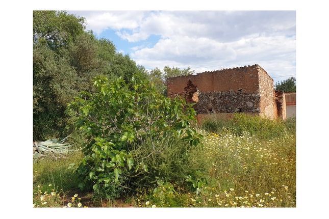 Land for sale in Algoz E Tunes, Silves, Faro