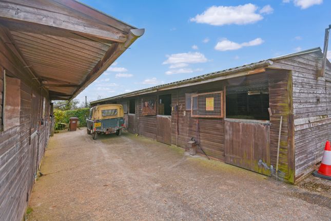 Farmhouse for sale in Beales Lane, Northiam, Rye