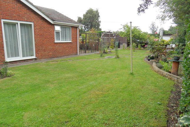 Detached bungalow for sale in Station Road South, Walpole St Andrew, Wisbech, Norfolk