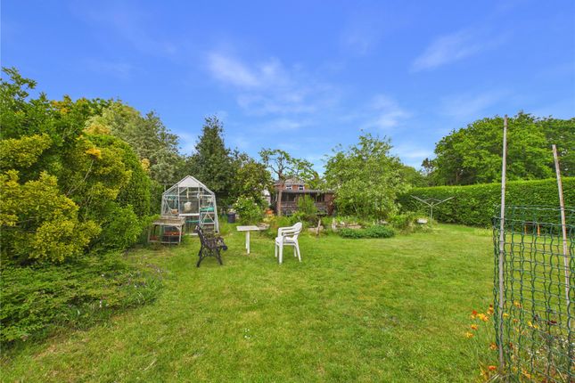 52, Albany Road, Colchester photo 2
