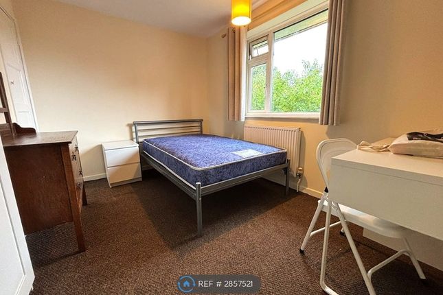 Wycliffe Road, Norwich photo 4