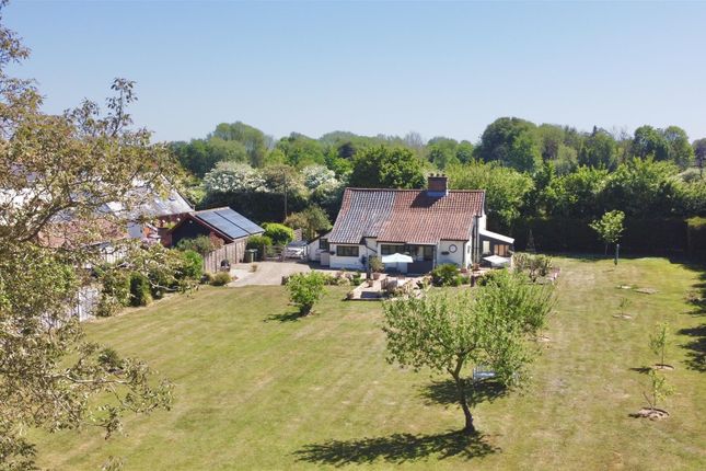 Rose Cottage, Norwich Road, Wreningham photo 3