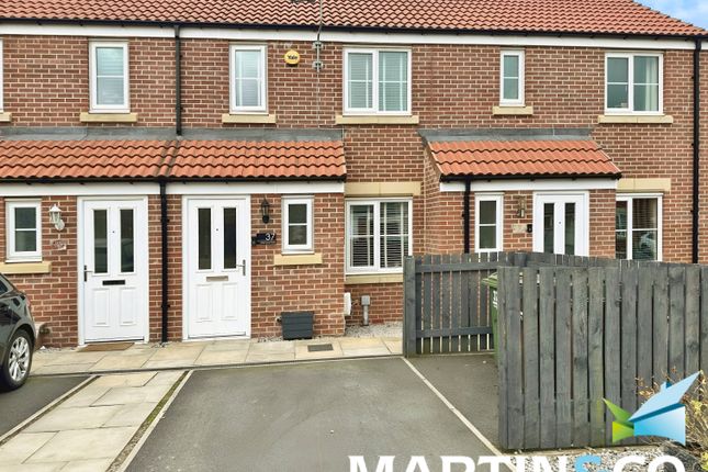 Cb762592-Img-20250415-Wa0089