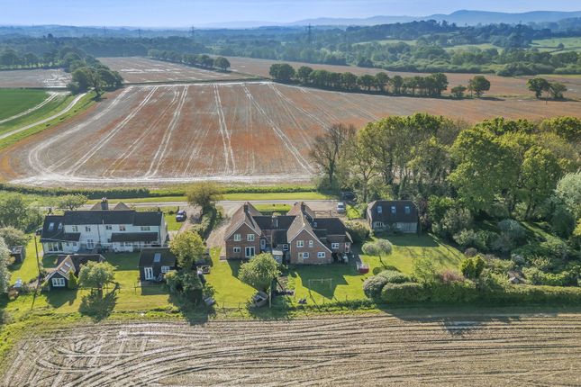 Thumbnail Semi-detached house for sale in West Harting, Petersfield