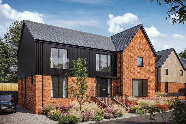 Plot 11 CGI
