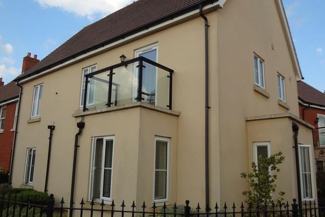 Front Aspect