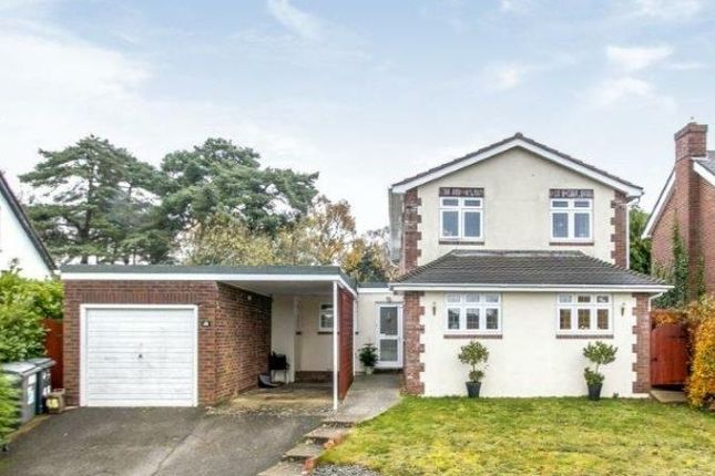 Thumbnail Detached house for sale in Parkway Drive, Queens Park, Bournemouth, Dorset
