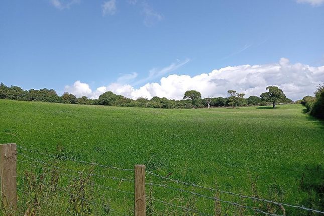 Llanystumdwy, Llanystumdwy, Criccieth photo 3