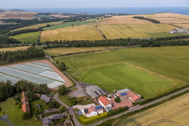 Fairview, West Flemington, Near Eyemouth photo 2
