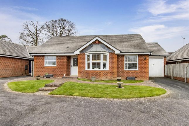 Thumbnail Detached bungalow for sale in Rayner Close, Crowborough