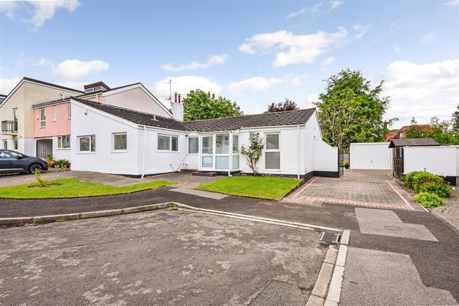 Thumbnail Bungalow for sale in Winterdyne Mews, Andover