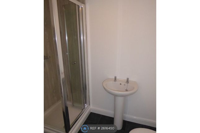 Master Bedroom Ensuite Shower