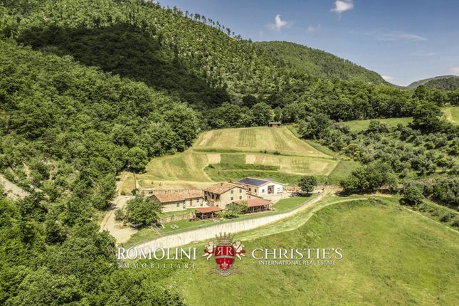 Thumbnail Farm for sale in Sansepolcro, Tuscany, Italy