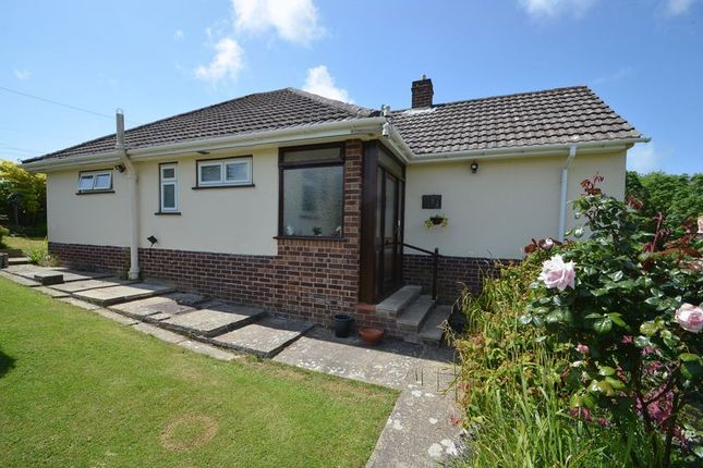 Thumbnail Detached bungalow for sale in Springfield Crescent, Broadwey, Weymouth