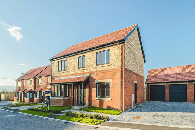 Thumbnail Detached house for sale in Clevedon Gardens, Wroughton, Swindon