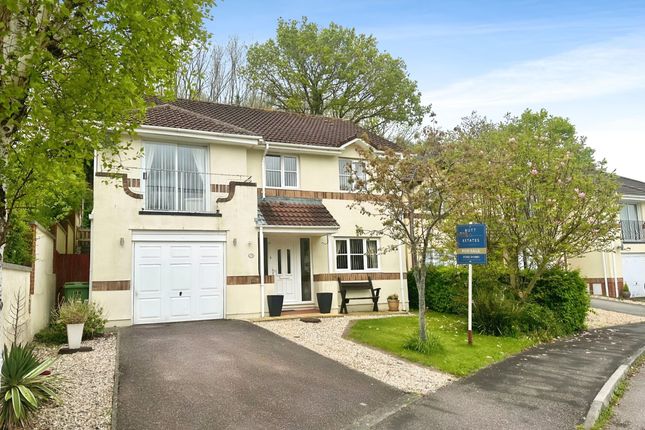 Detached house for sale in St. Peters Mount, Exeter