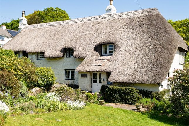 Pethybridge Farmhouse, Pethybridge, Newton Abbot photo 4