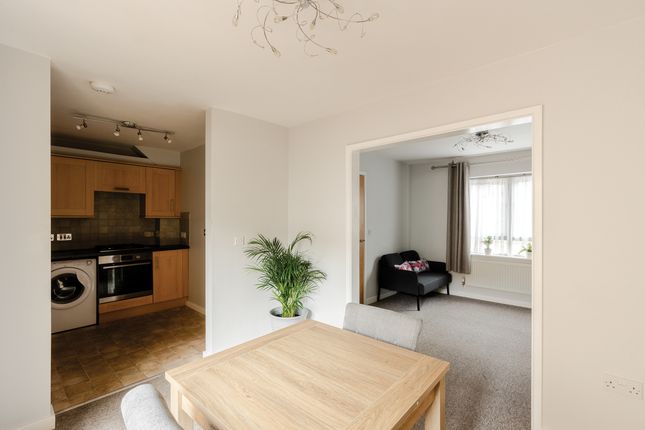 45 Alfred Hill, Bristol photo 4