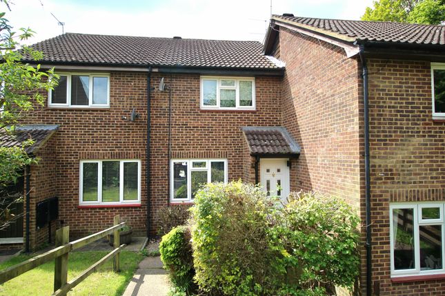 Thumbnail Terraced house to rent in Speedwell Close, Guildford, Surrey
