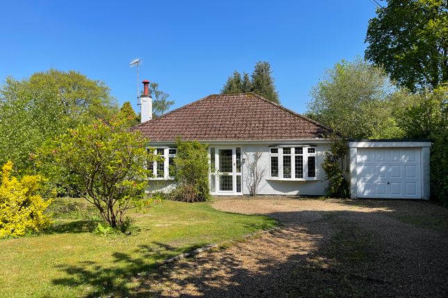 Detached bungalow to rent in Chestnut Walk, Felcourt, East Grinstead