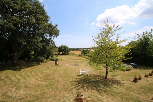The Barn, Ashford photo 2