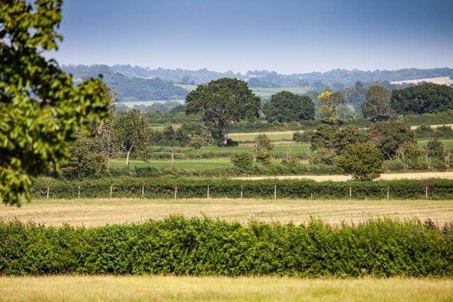 Bowers Farm,, Babcary, Somerset photo 4