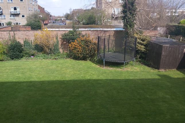 9, Canterbury photo 2
