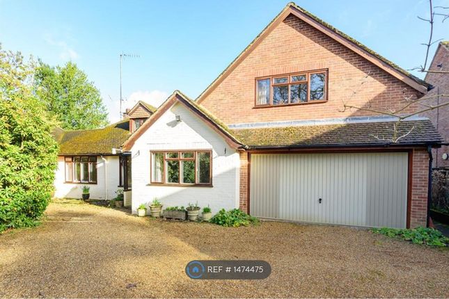 Thumbnail Detached house to rent in Heath Ride, Finchampstead, Wokingham