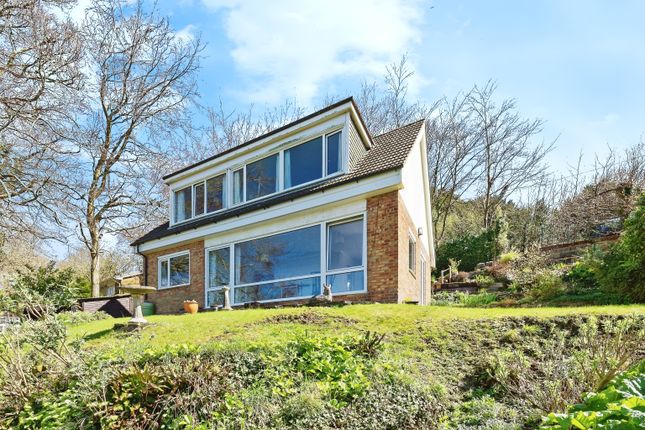 Detached house for sale in The Avenue, Temple Ewell, Dover, Kent