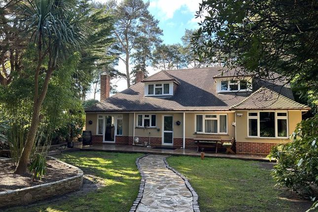 Thumbnail Detached house for sale in New Road, Ferndown
